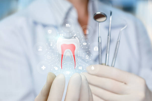 Professional Dental Services in Lemon Grove, CA